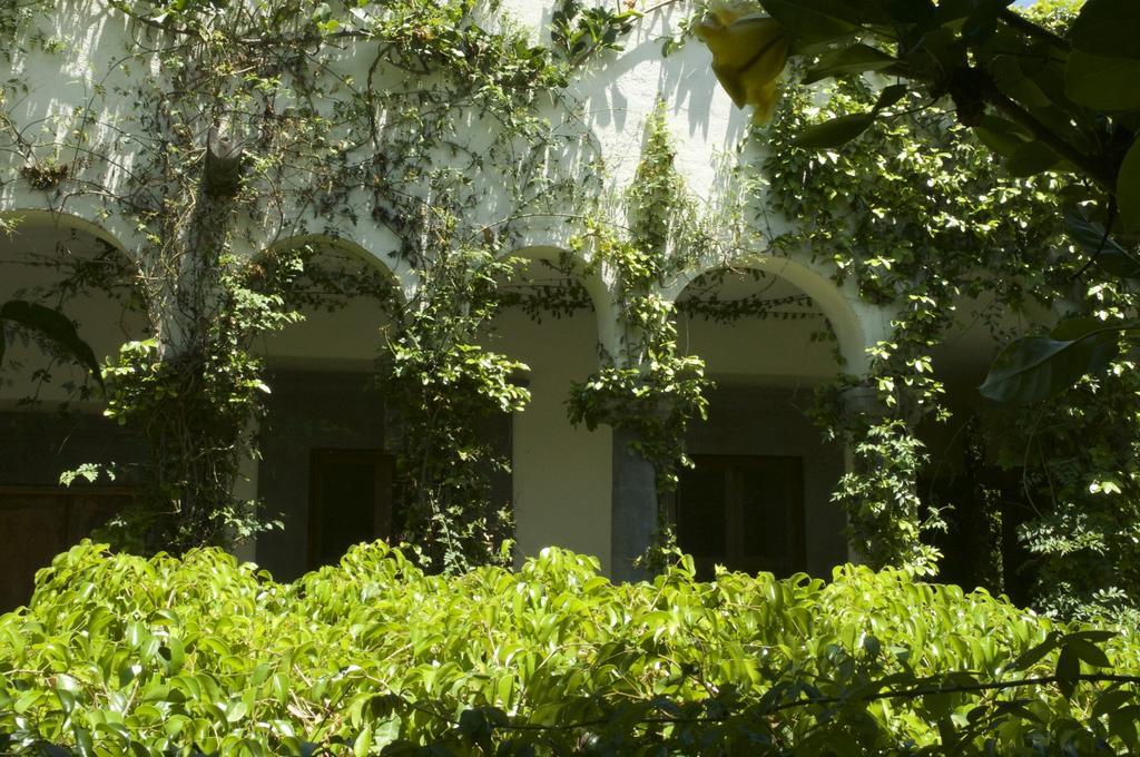 Casa Mision De San Miguel Hotel San Miguel de Allende Exterior foto